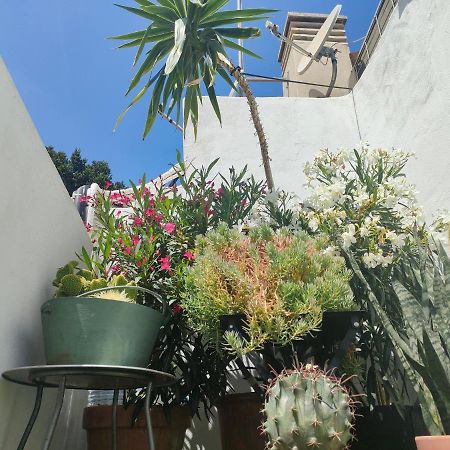 Historic Center Private Terrace Apartment Málaga Exterior foto