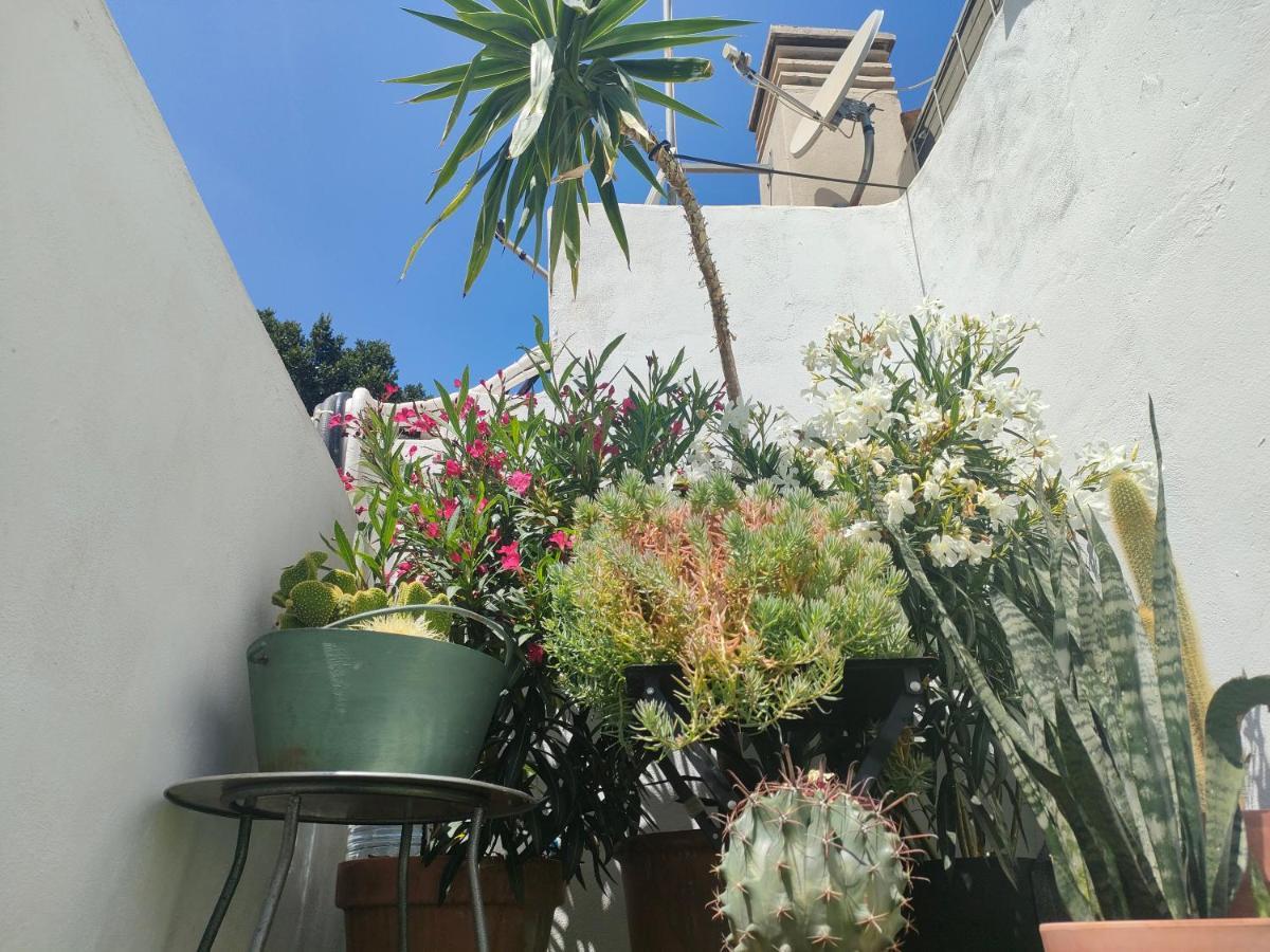 Historic Center Private Terrace Apartment Málaga Exterior foto